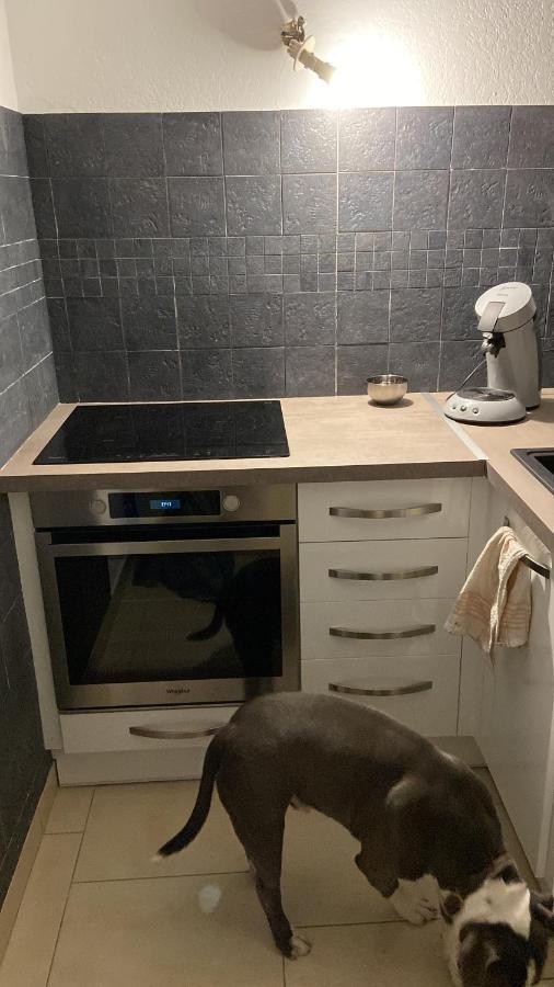 Appartement Cap D Agde Magnifique Vue Mer Eksteriør bilde